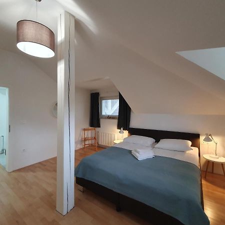 Charming Apartment Mila In Privat House With Free Parking Любляна Екстериор снимка