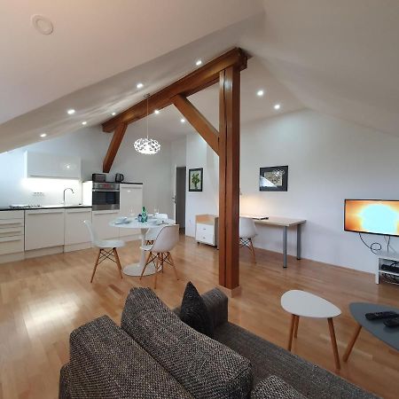 Charming Apartment Mila In Privat House With Free Parking Любляна Екстериор снимка