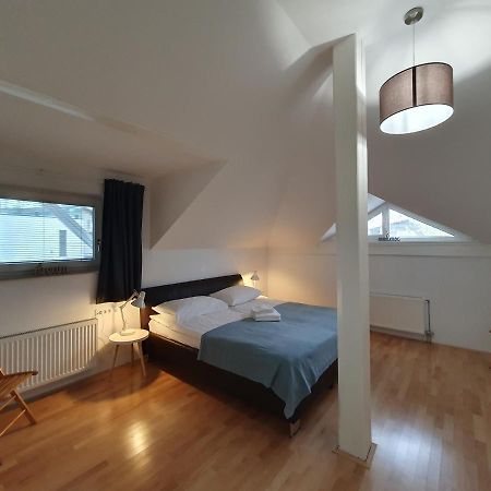 Charming Apartment Mila In Privat House With Free Parking Любляна Екстериор снимка