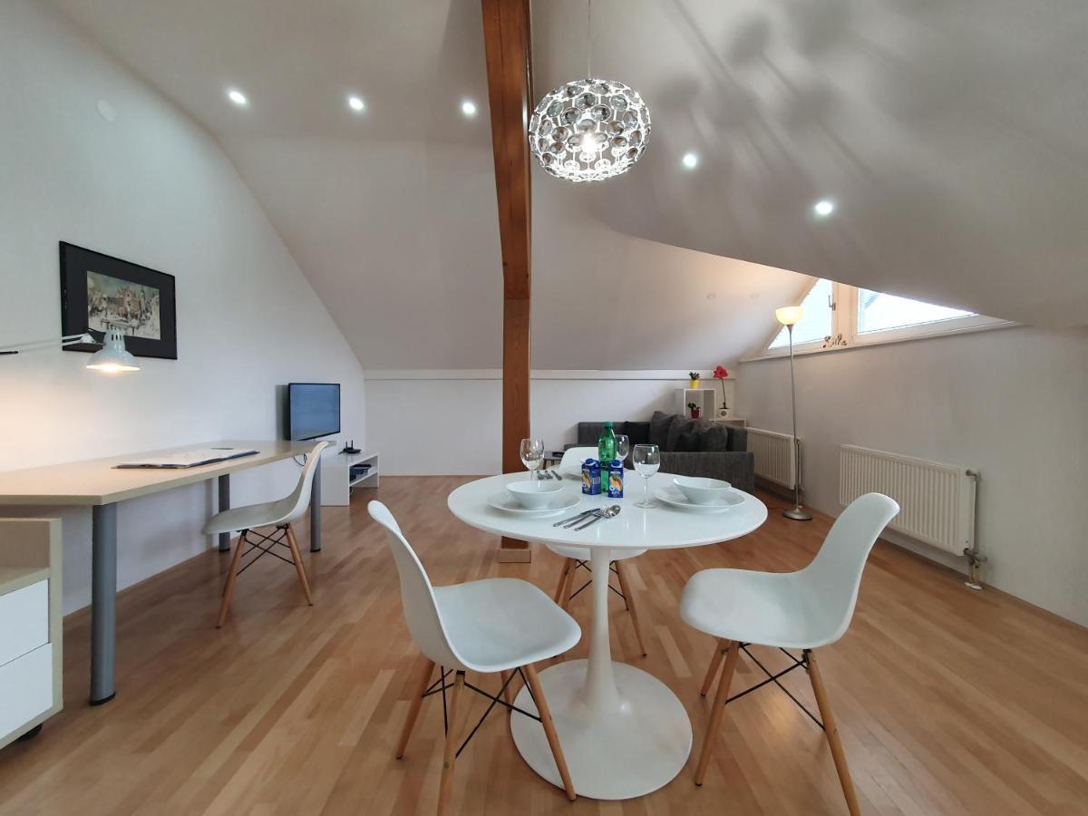 Charming Apartment Mila In Privat House With Free Parking Любляна Екстериор снимка