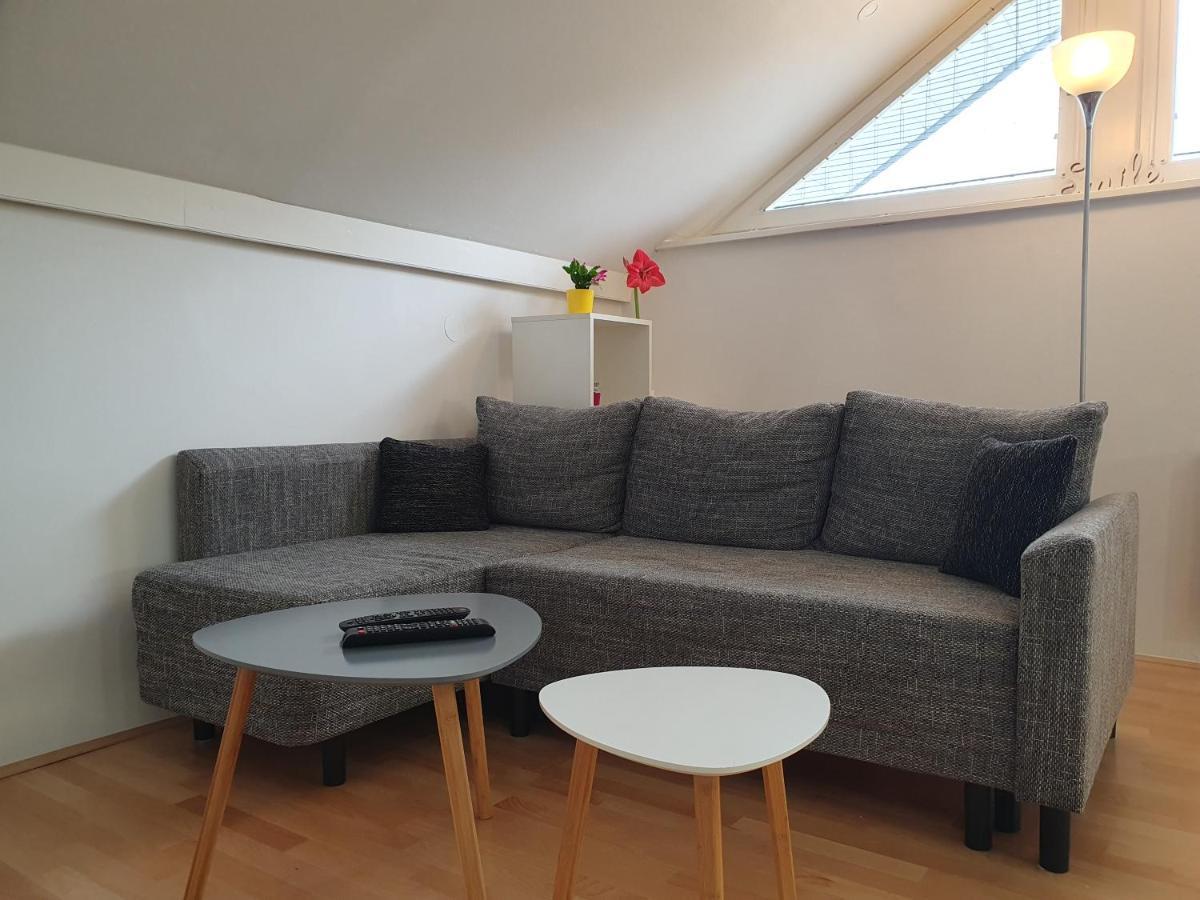 Charming Apartment Mila In Privat House With Free Parking Любляна Екстериор снимка